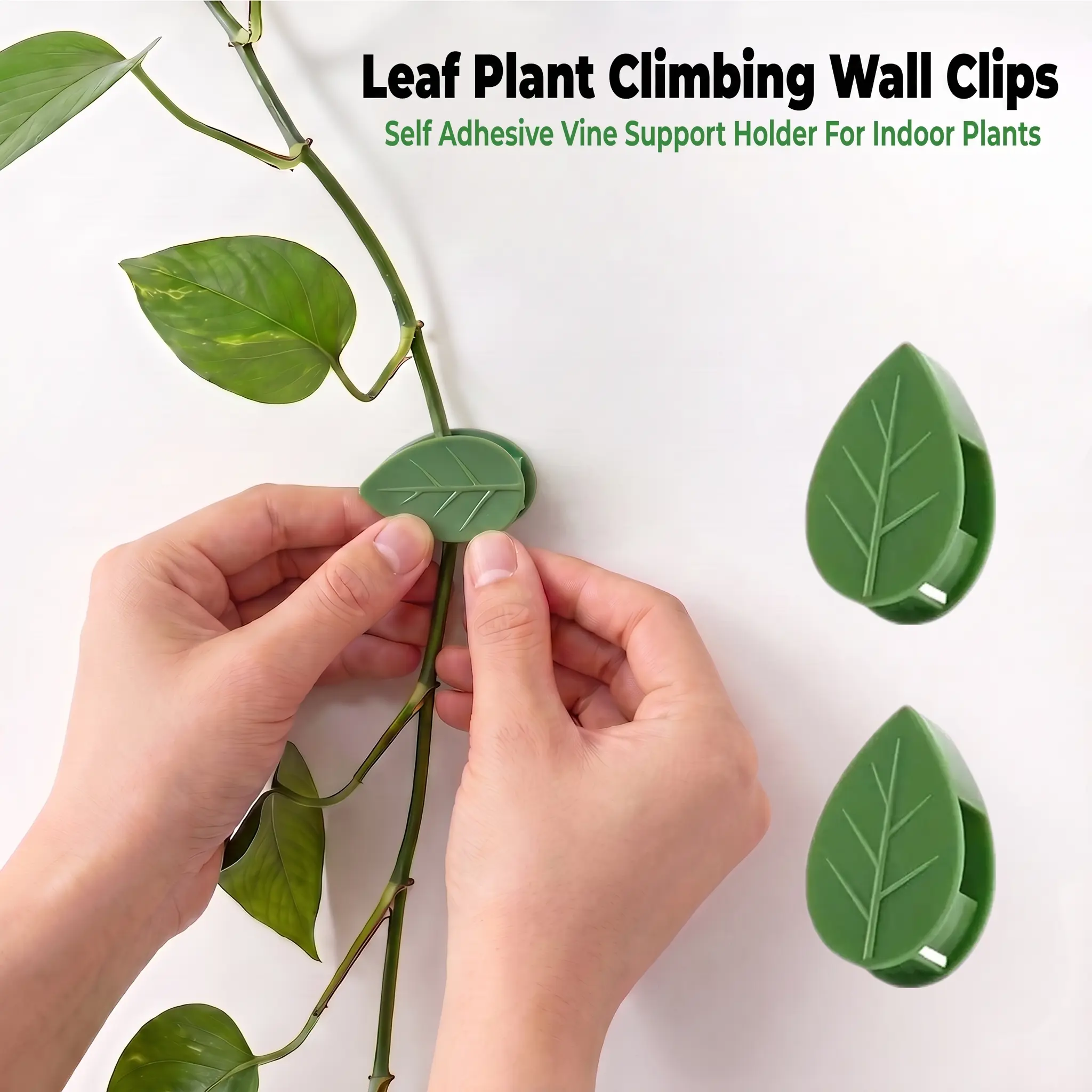 Plant Climbing Wall Fixture Clips, 20 PCS Self-adhesive Plant Fixing Hook, Sticky Plant Fixing Clip for Plant Garden Vine Decoration-YY0
