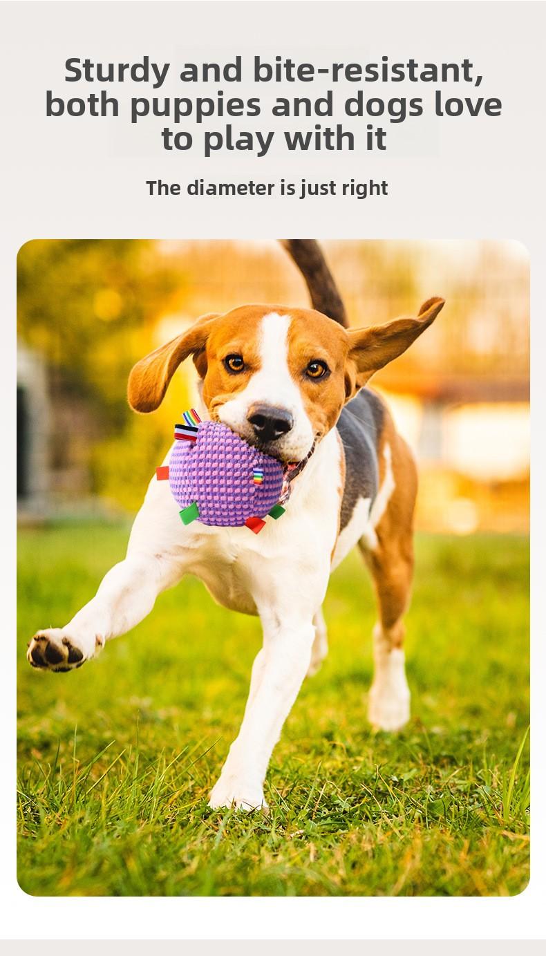 Pet Toy Ribbon Sound Ball, Dog Toy, Interactive Bell Rolling Ball for Teasing and Throwing, Pet Toy, Cat Teething Toy