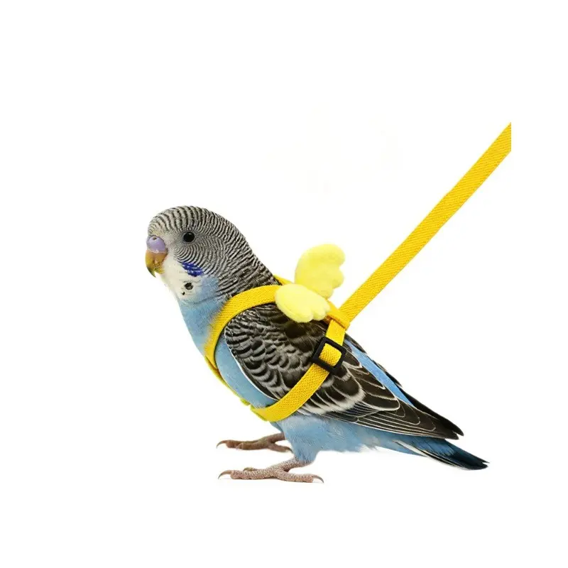 Adjustable Parrot Harness and Leash, Training Design Anti-Bite Flying Outdoors, Pet Bird Walking Gear, Comfortable, Durable and Secure