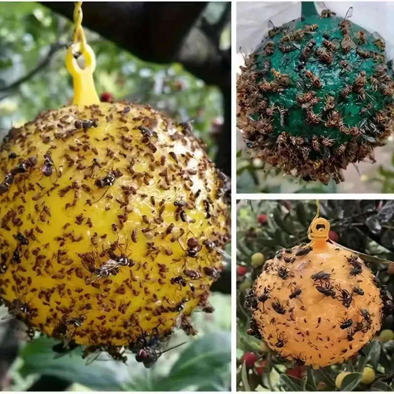 20 Fly Traps for Fruits and Citrus, Sticky Insect Catcher, Mosquito and Flying Insects Control, Orchard and Garden Pest Management