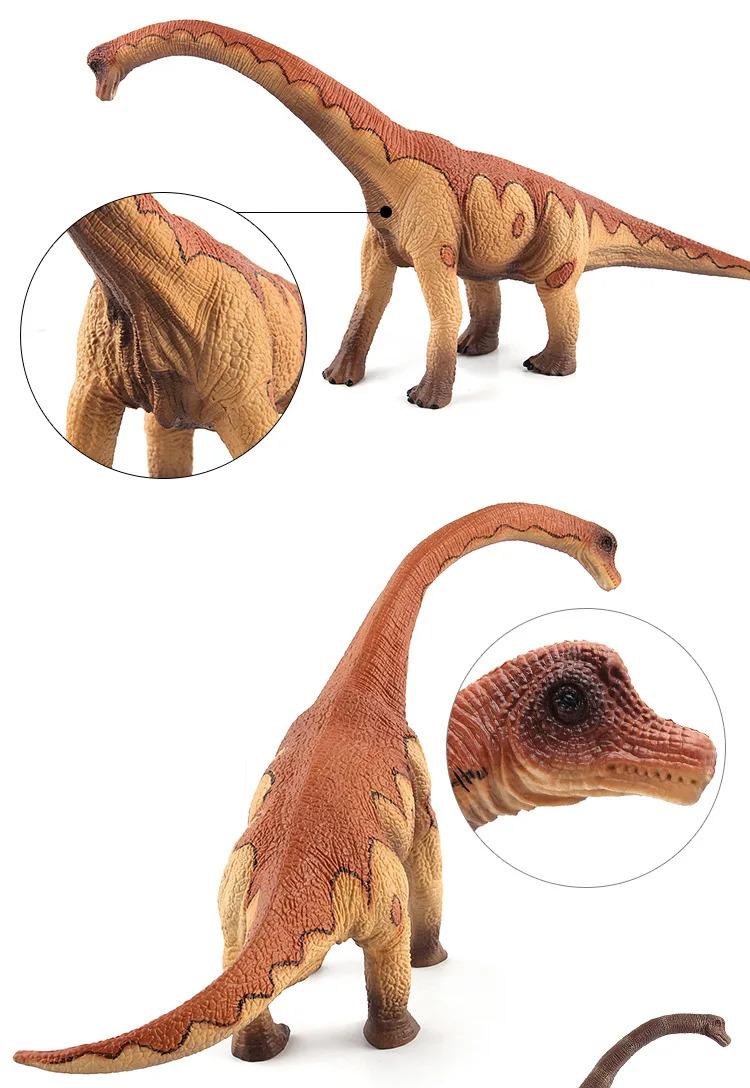 Realistic Simulated Animals Model Jurassic Herbivorous Dinosaur Apatosaurus Brachiosaurus Decor Toys For Children Birthday Gifts