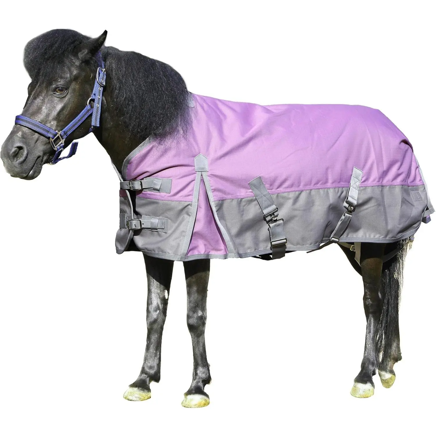 1200D Ripstop Mini Horse Pony Blanket Medium Weight 200g Fill Waterproof Breathable Warm Winter Turnout Blanket for Foal Weanling Yearling Donkey Mule Violetgrey 42