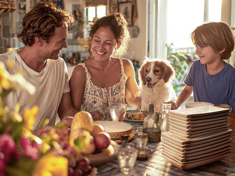 9.85" Ceramic Rectangle Plates Set of 4 - Deep Lipped Edges, Appetizer Salad Sushi Pasta Dessert Plates, Microwave/Oven Safe, Cute Kitchen Dinner Restaurant Serving Dishes (Multiple Patterns)