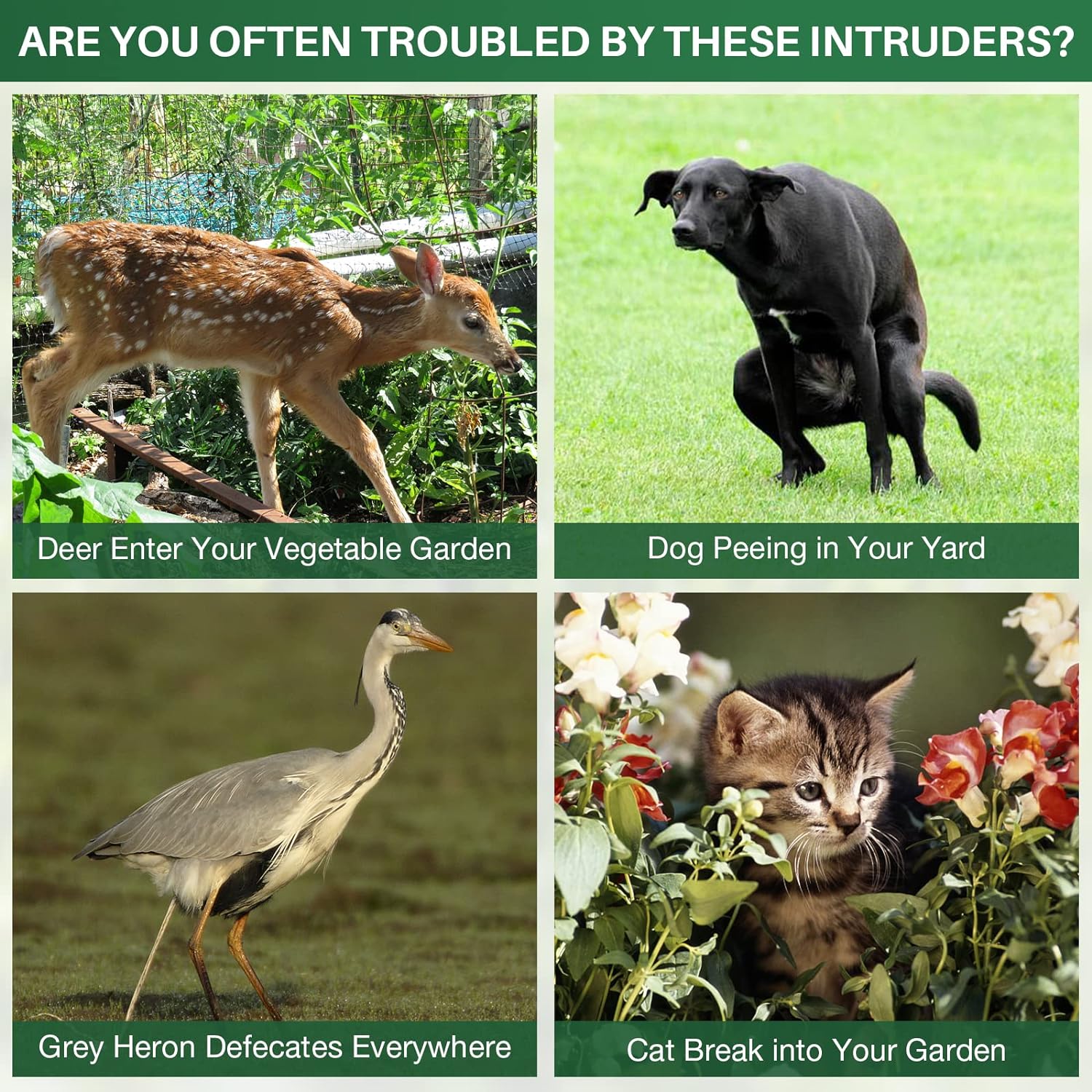 Solar-Powered Animal Repeller, Deer Repellent Devices, Waterproof Ultrasonic Pest Repellent for Outdoor Farm and Orchard Use