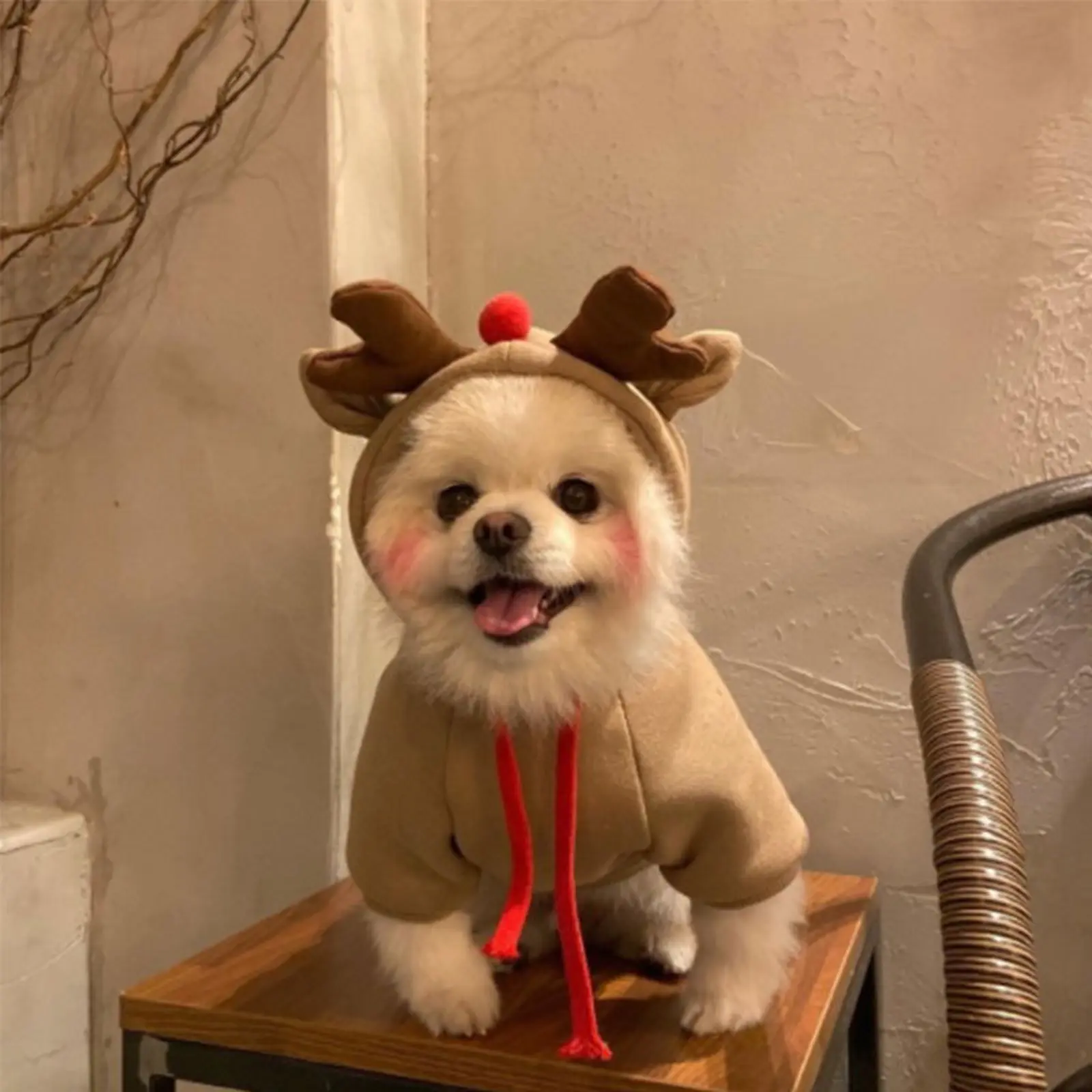Christmas Dog Costume, Small Medium Puppy Cat Clothes, Pomeranian Teddy French Bulldog Corgi Bichon Xmas Apparel