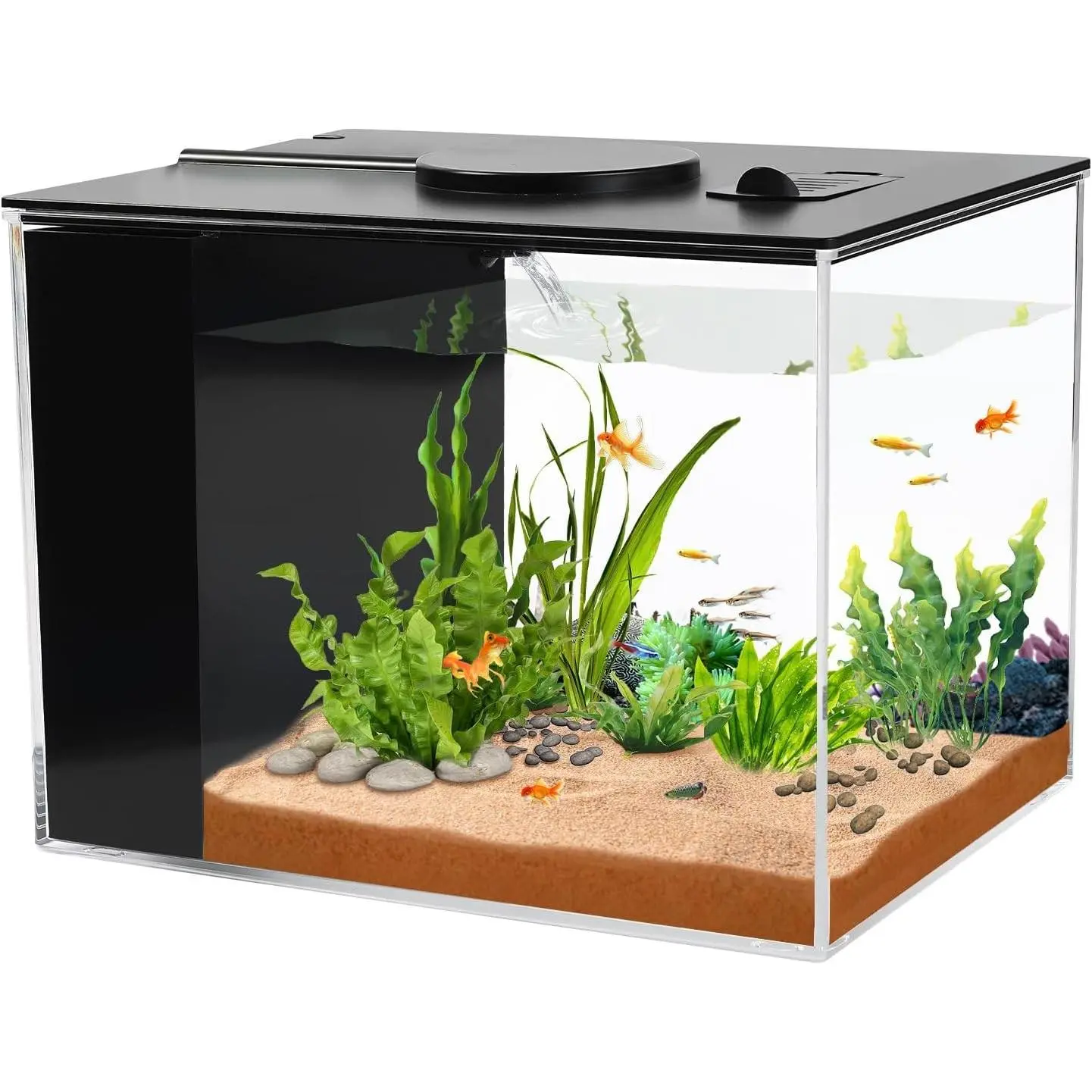 1 Gallon Small Fish Tank Aquarium Kit with LED Light and Water Filter Pump
