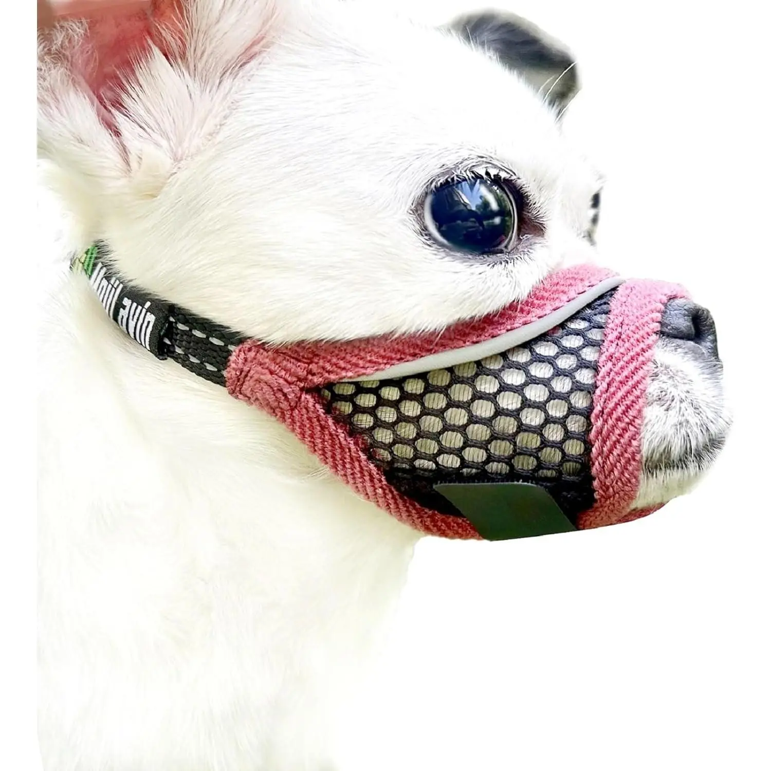 Dog Muzzle, Soft Mesh Muzzles for Small Dogs, Chihuahua Shih Tzu Yorkie Pom, Short Snout Mouth Guard for Barking Biting Grooming, Breathable Adjustable Puppy Muzzle (Cherry-red, XXS)