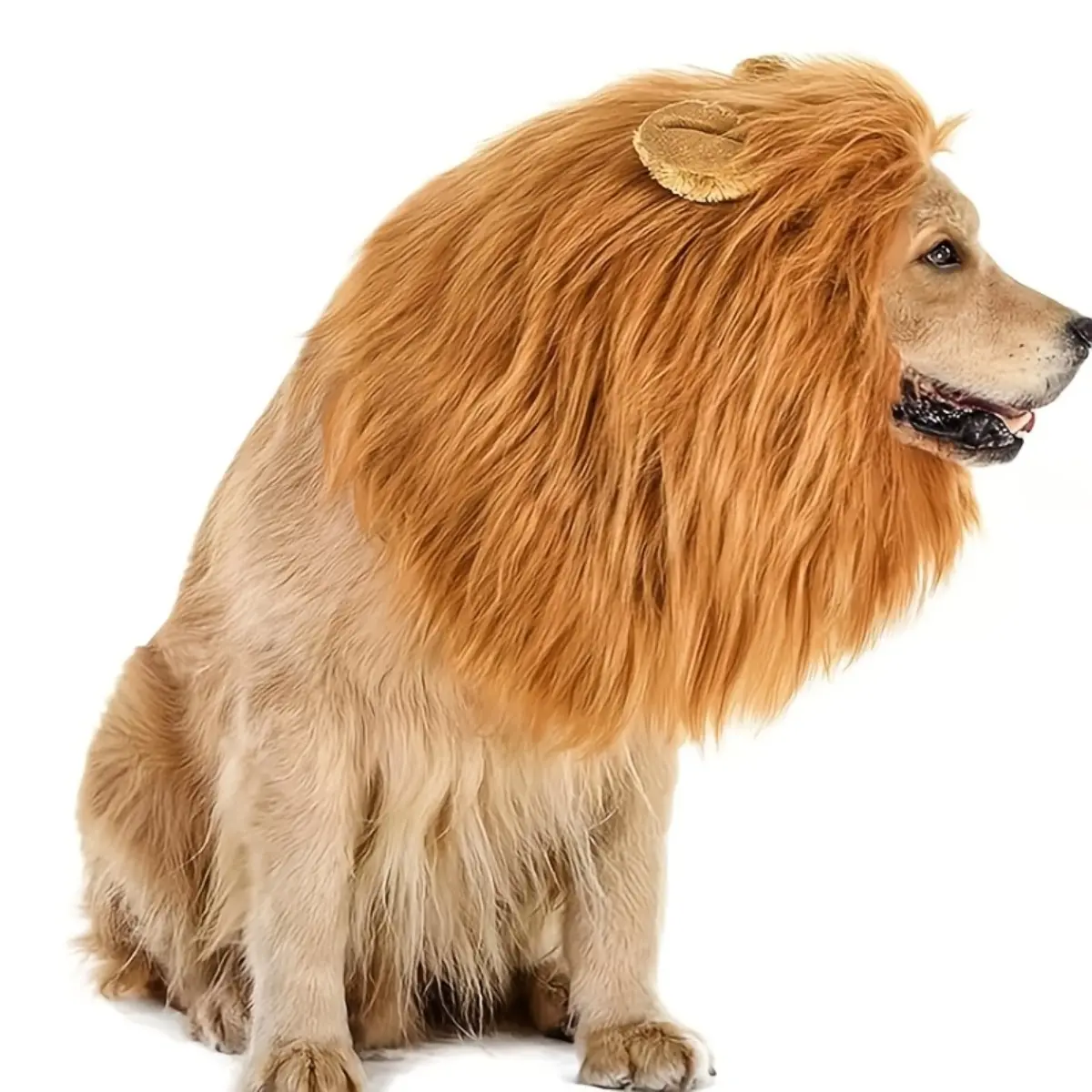 Premium Lion Mane Dog Costume, High-Quality Realistic Furry Pet Wig Hat for Golden Retriever, Hilarious Plush Puppy Halloween Cosplay Dress Up Apparel, Elegant Photography Prop Gift for Dog Lovers