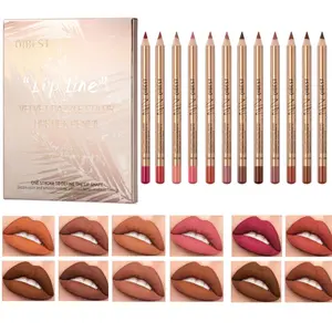 12 Color Makeup Lip Liner Set, Long-Lasting Non-Bleed Matte Finish, Gold Tube Lip Liner, Bold Pigmentation, Easy Application