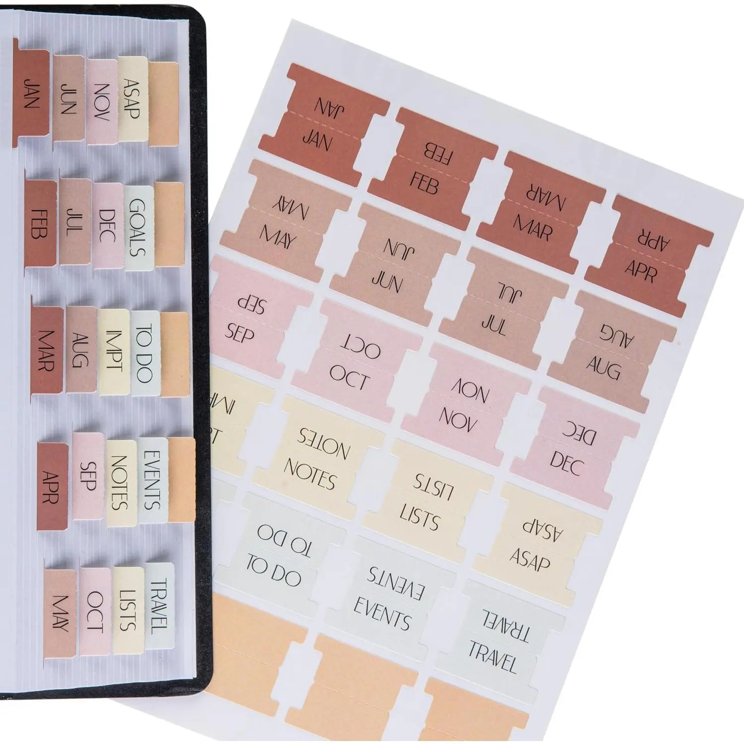 Laminated Planner Monthly Tabs, 24 Peel and Stick Tabs for Notebooks (12 Month Tabs and 4 Blank Tabs), Calendar Monthly Tab Stickers for Planners, Monthly Dividers (Peony)