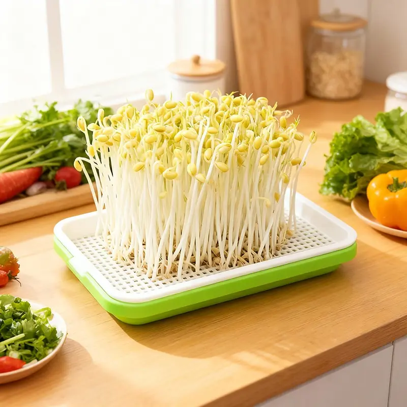 6set Seed Germination Tray Kit, Plastic Germination and Growth Tray with Drainage, Hydroponic Basket, Lid, Ideal for Gardening