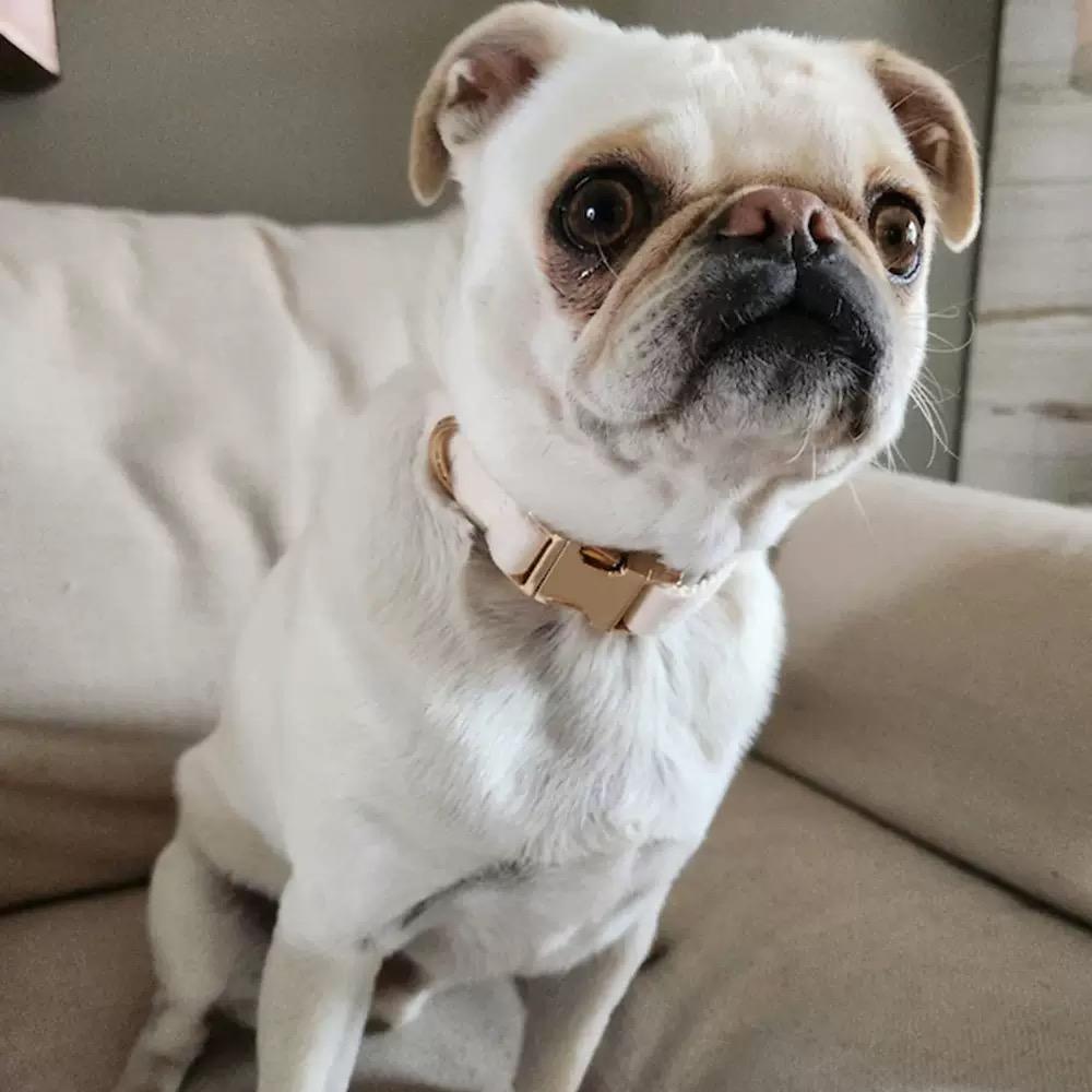 Personalized Dog Collar 1Pc Custom Engraved Soft Engraved Nameplate Durable ID Durable Nylon Material Easy to Install