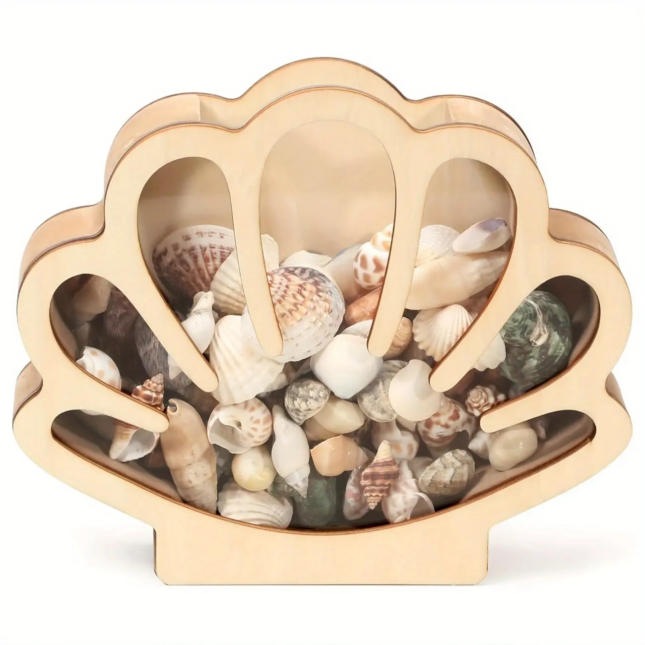 Wooden Shell Display Box, Beach Theme Shell Showcase, Ideal for Shells, Souvenirs, Collectibles, Coastal Home Decor, Aesthetic Room Decoration