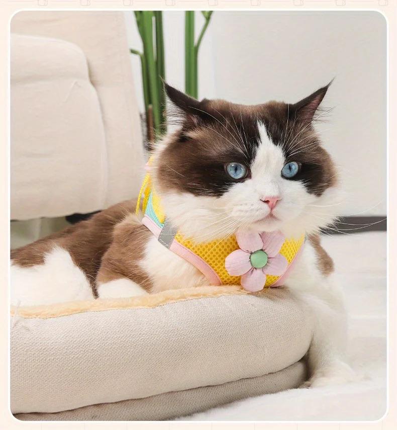 Cat Dog Harness and Leash Breathable Mesh Pet Chest Straps for Cats Puppy Walking Lead Ragdoll Chihuahua Vest Harness Bulldog