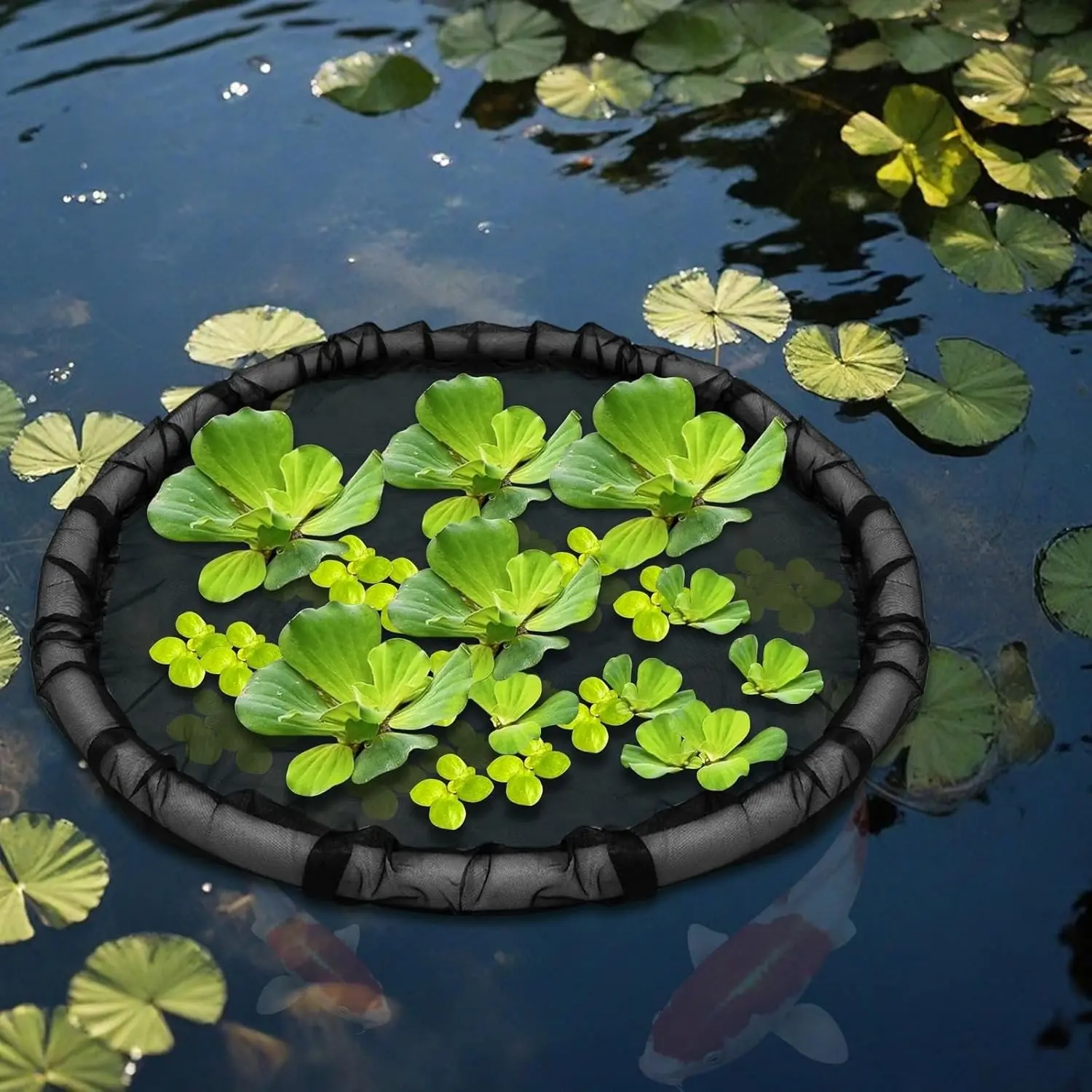 2-Pack Round Floating Flora Fish Barrier, Floating Island Plant Protector, Protects Floating Plants From Pond Fish, Ideal for Ponds