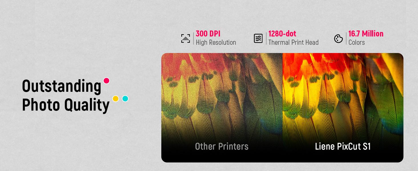 Liene Photo Paper & Cartridge, 2 Ink Cartridge Refill & 72 sheets photo papers, 4x6", Dye Sublimation, Water & Oxidation-Proof, Compatible w/Liene PixCut S1 Photo Sticker Printer and Cutter