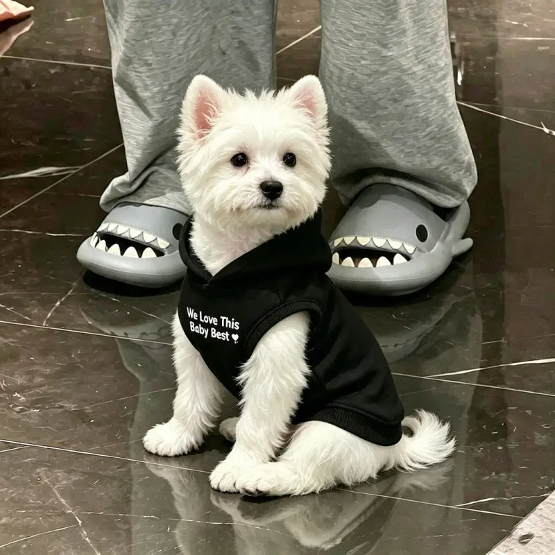 Dog Hoodie Vest, Early-Fall Thin Cool Street-Style Pet Clothes,Fleece Lined Winter Sweatshirt for Small Dogs Bichon Teddy Puppy