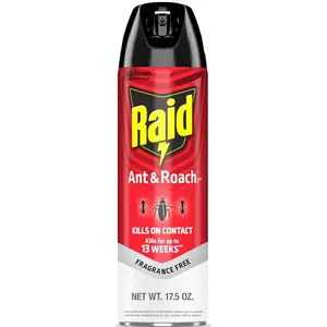 Raid Ant & Roach Killer Spray, Fragrance-Free Household Bug Killer for Home Use, Kills Bugs on Contact, 17.5oz