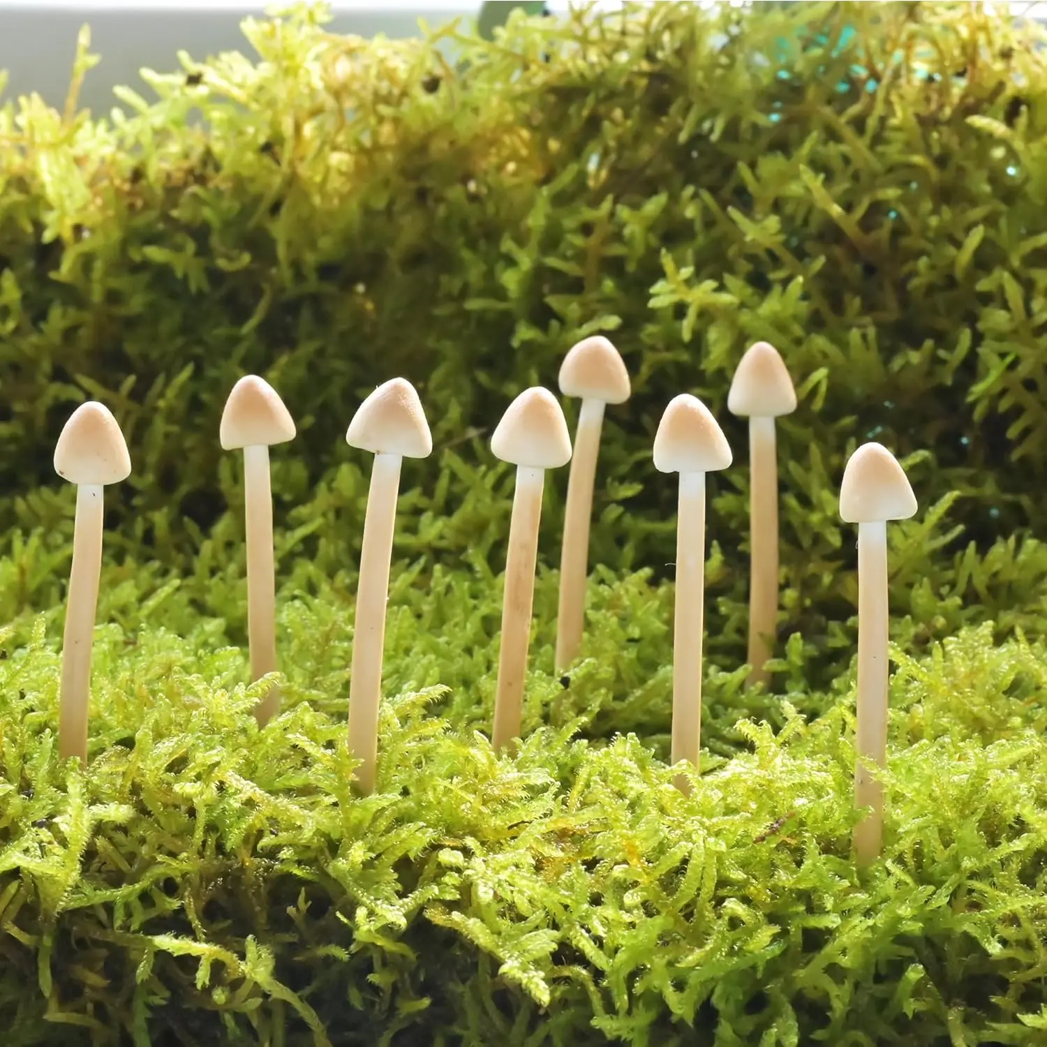 8-Pack  Clay Mushrooms - Mini  Mushrooms for DIY Miniature Landscapes & Fairy Gardens - Desktop Ornaments & Christmas Decorations.