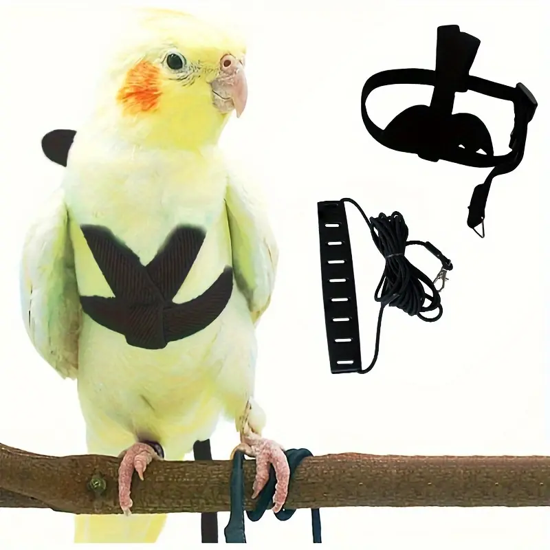 Adjustable Parrot Harness & Leash - Escape-Proof, Safe Walking, Soft Comfortable Strap for Small Birds (Conure, Cockatiel, Lovebird) [Pet Supplies, Collars Harnesses & Leads]