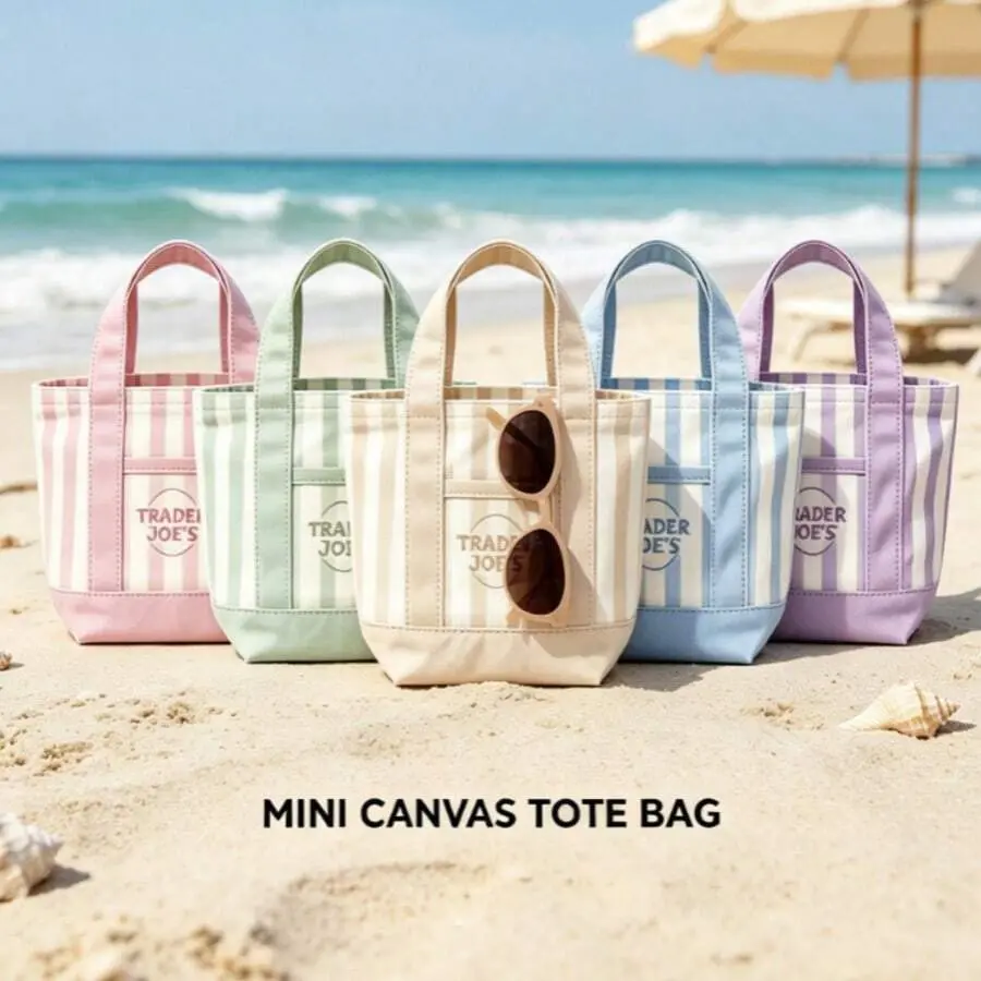 Trader Joes 2026 New Style Striped Handheld Tote Bag,Canvas Tote Bag,Bag Canvas Bag With Pockets Duty Canvas Sublimation Blank Small Bag,Large Size Mini Reusable Tote For Crafts Valentine's Day Gift