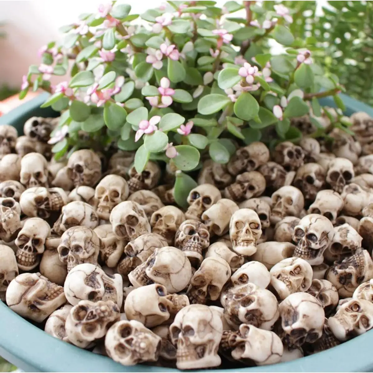 20-Piece Gothic Resin Skull Figurines, Spooky Creative Desktop Ornament for Home Office, DIY Projects & Aquarium Decor, Decorations And Ornaments, Decorative Piece, Halloween Decorations, Decoration, Room Decor