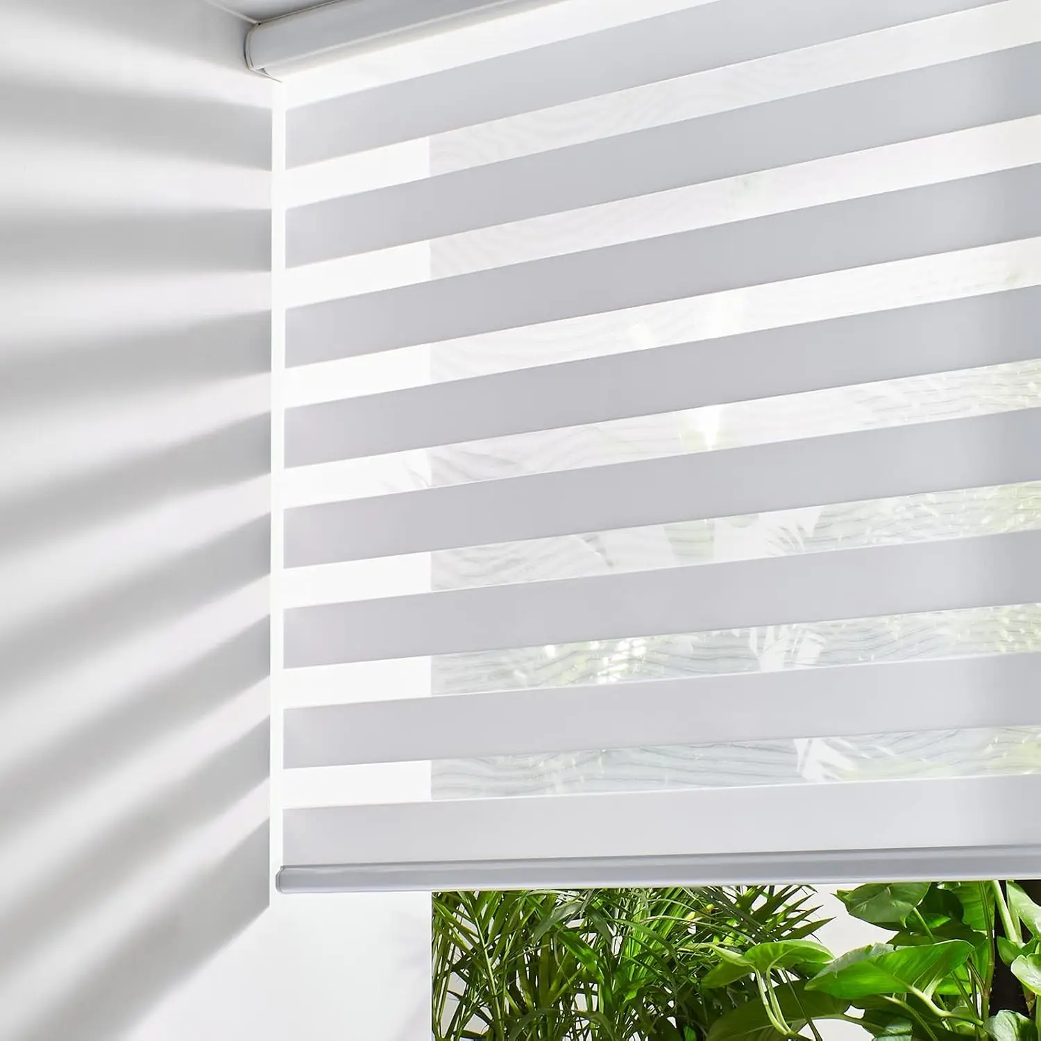Cordless Zebra Blinds for Windows, Free-Stop Dual Layer Roller Shades, Light Filtering Sheer Day & Night Light Control, Easy to Install, 24" W x 72" H, WhiteGift