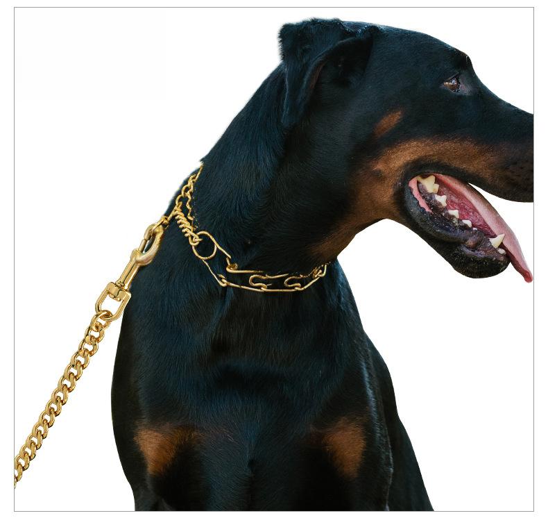 Gold Stainless Steel Dog Leash NK Training Chain for Small to Large Dogs Heavy Duty Hip Hop Bling Lead Secure & Durable