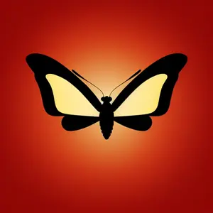 Chinese children's clothing