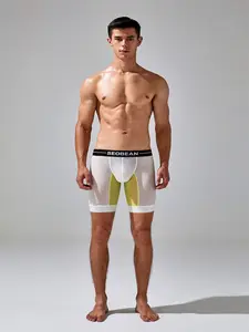 New Men's Ice Silk Thin Breathable Semi-Transparent Sport Briefs, Cycling Anti-Chafing Long Leg Running Quick-Dry Comfortable All Season