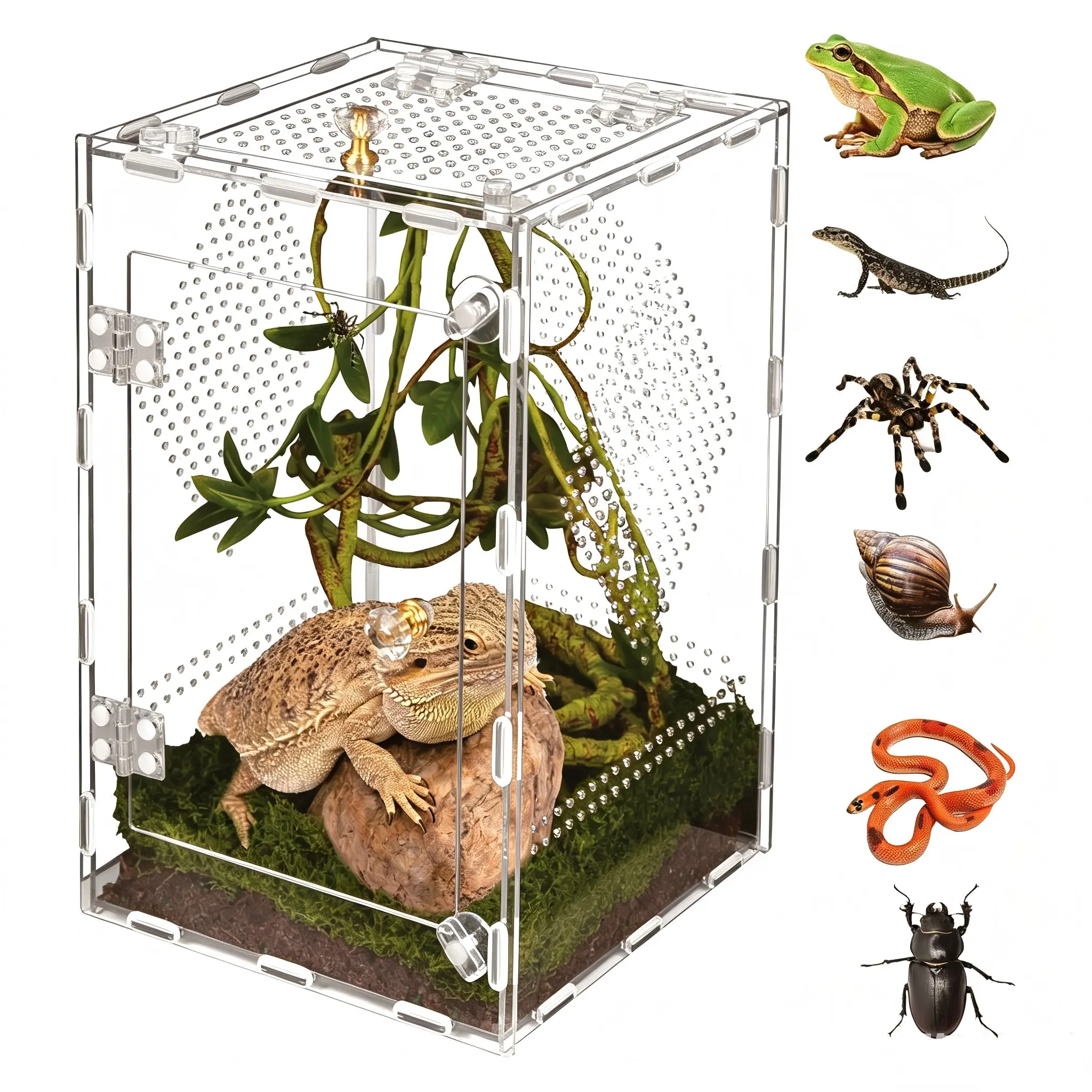 Thick Transparent Acrylic Reptile Terrarium, Reptile Tank, Enclosure, High-Definition Viewing, Multi-Sided Ventilation, Leak-Proof, Ideal for Small Lizards, Spiders, Crabs, Insects