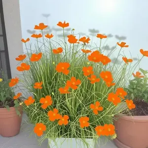 5 Bundles UV-Resistant Artificial Orange Onion Grass Flowers, Maintenance-Free Plastic Faux Shrubs, Decoration for Balcony, Garden, Yard, Home, Wedding, Thanksgiving, Anniversary.