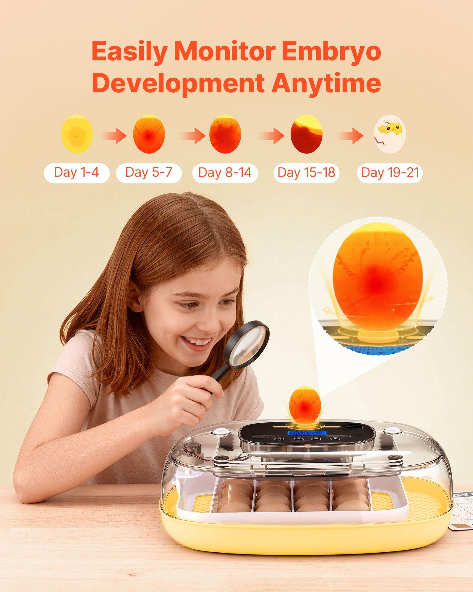 VEVOR 24 Egg Incubator, Automatic Egg Turner with LED Candler, Temperature & Humidity Control, 360 °   View Clear Window, Auto Water Refill, Poultry Eggs Incubators for Hatching Chicks Ducks Goose Quail