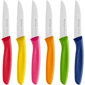 Stainless Steel Paring Knife Set (6 Pieces),Ultra Sharp Vegetable and Fruit Knife, Colorful Paring Knife with Straight Edge,Small Kitchen Knife with PP Plastic Ergonomic Handle