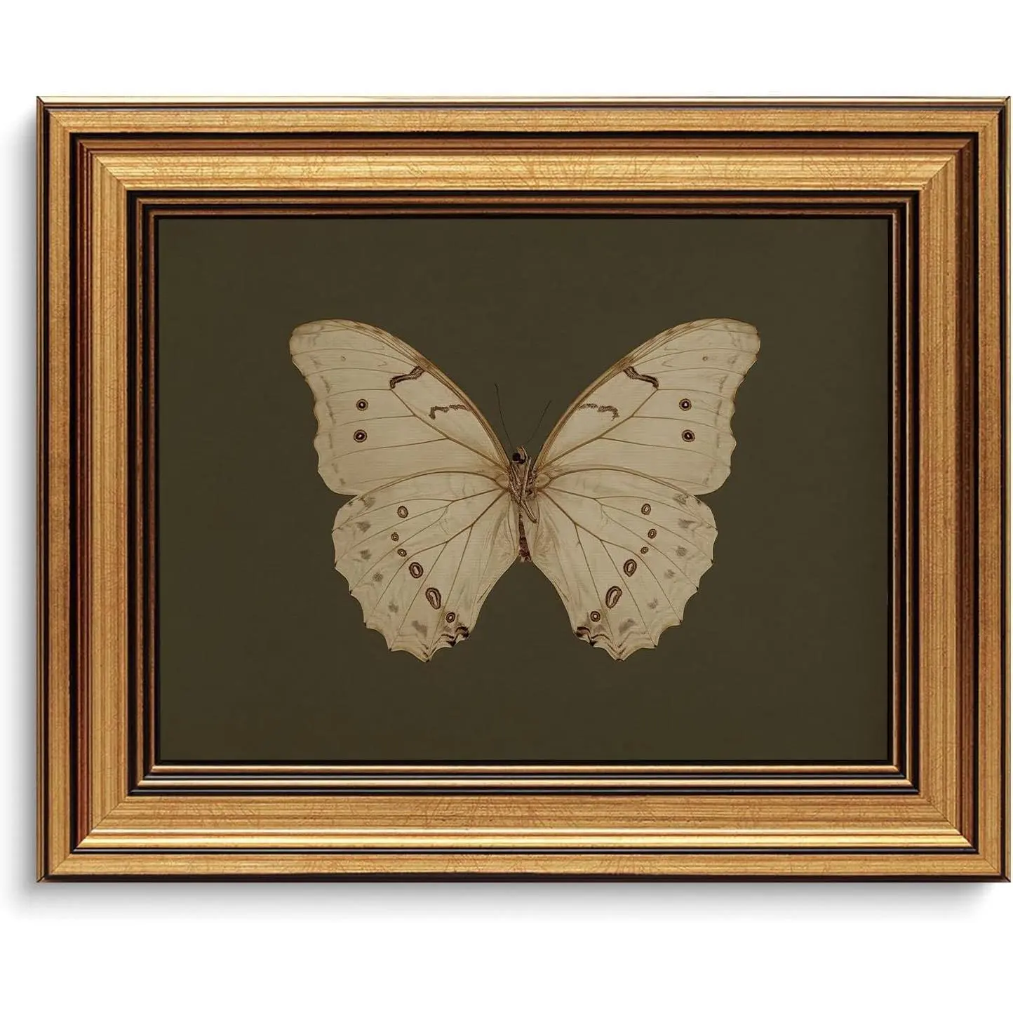 Gold Framed Vintage Butterfly Canvas Wall Art - White Moody Insect Art Prints - Artistic Hanging Decoration for Living Room, Farmhouse, Office - 8x10 Gifts for Home Decor Accents, Water Proof