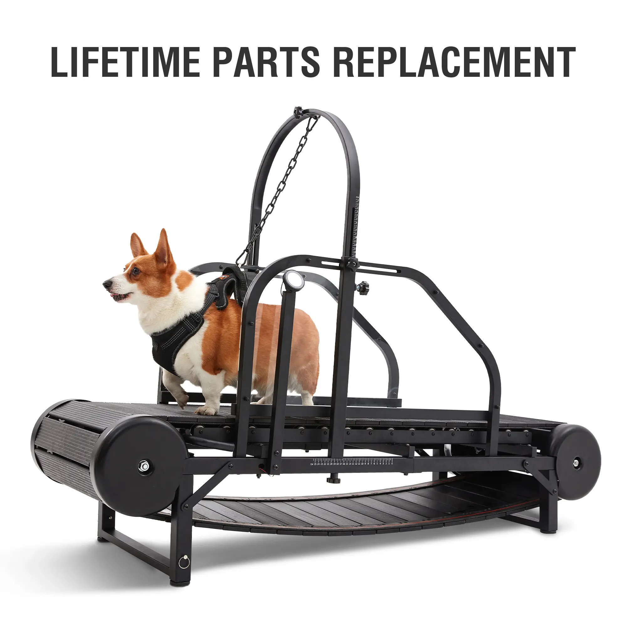 Ronzeil Non-Electric Dog Treadmill for Medium/Large Dogs  Indoor/Ouside– Lifetime Service, Low Noise, Long Runway, Pedometer, Adjustable Ramp, Durable