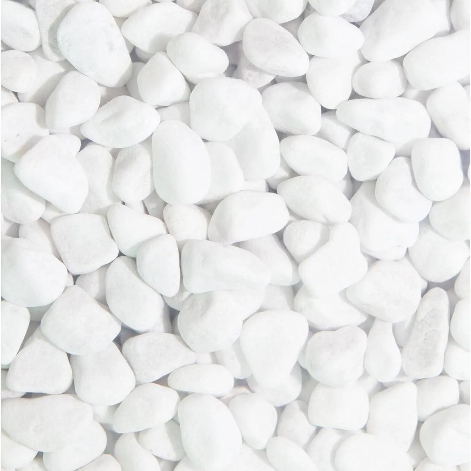 10 LB Nature White River Rocks - 0.3-0.5 In Decorative Pebbles for Indoor Plants, Fish Tank Aquarium, Home Décor & Kitchen Tableware Accents