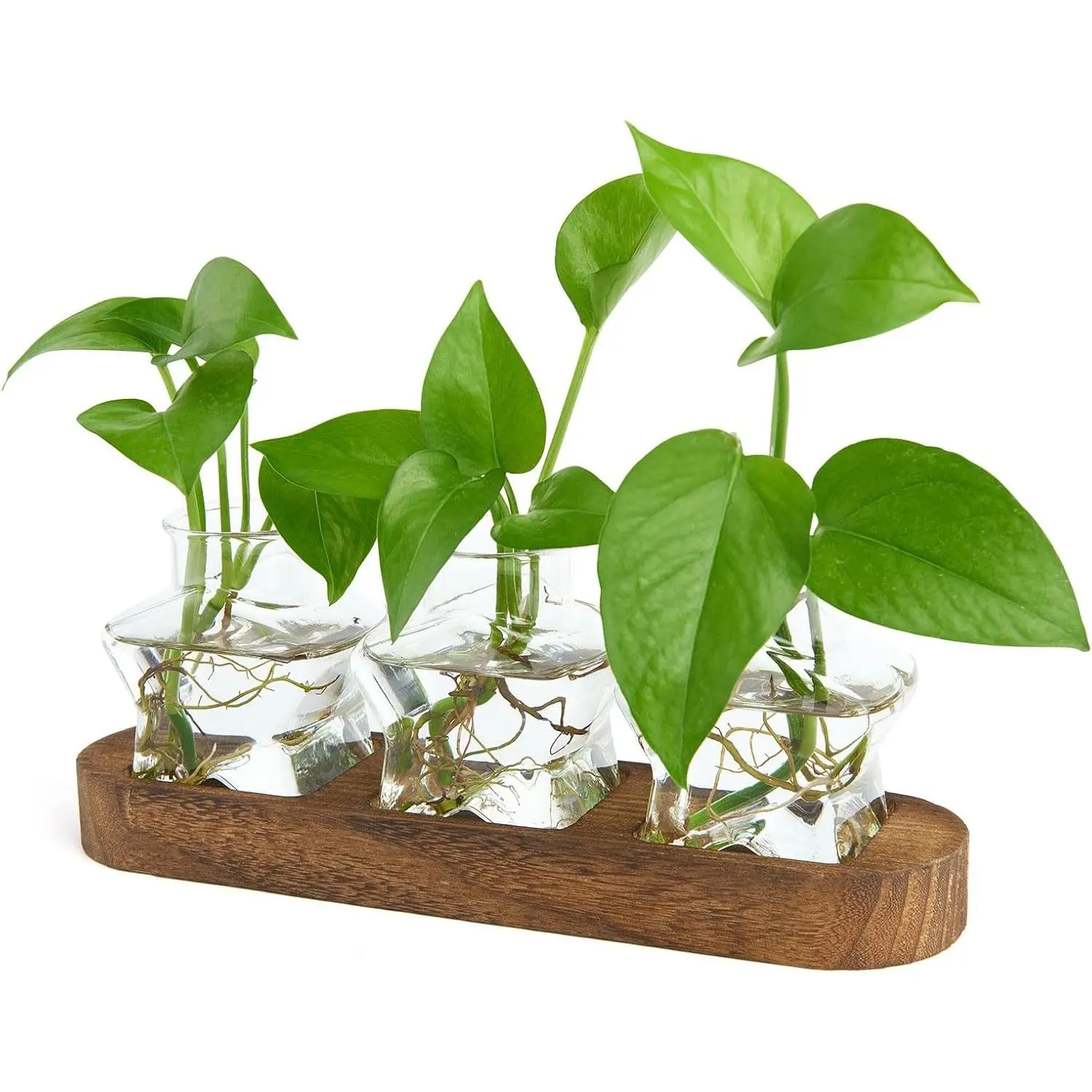 Plant Propagation Station with Wooden Stand,Air Plant Terrarium Starter Kits Star Vases for Flowers Plant Cutting Rooting Pots Indoor Hydroponic Glass Planter for Plant Lovers,3 Jars