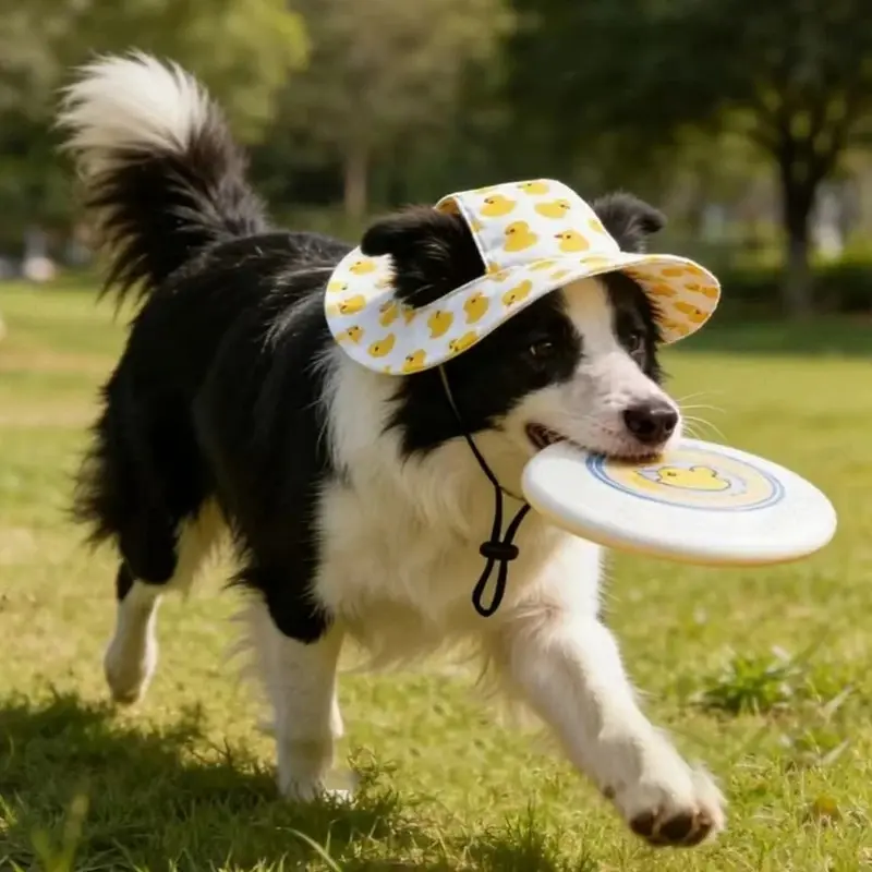 Adjustable Dog Hat Cute Print Cap for Puppies and Small Breeds, Pet Sun Protection Hat for Walking Outdoor Activities