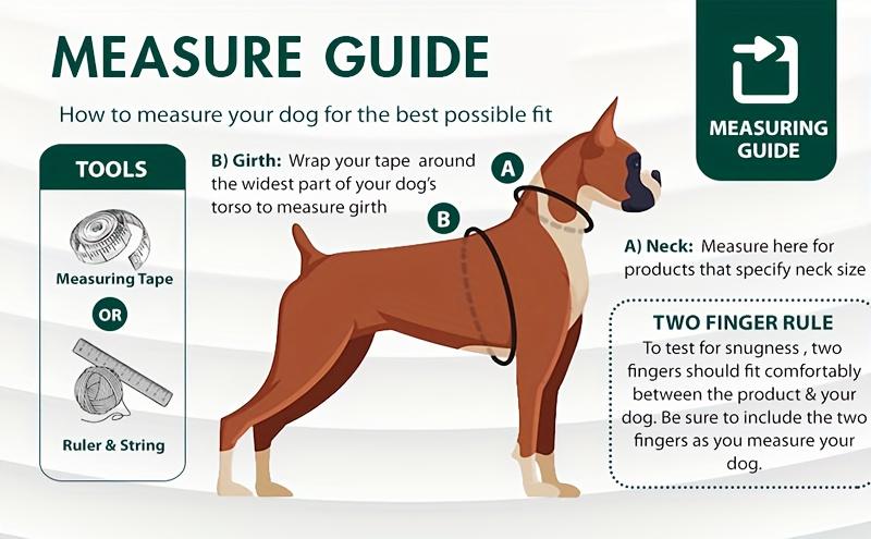 Dog Harness and Leash Set, Breathable Mesh Pet Harness, Reflective Adjustable Puppy Vest, Suitable for Small Dogs and Cats