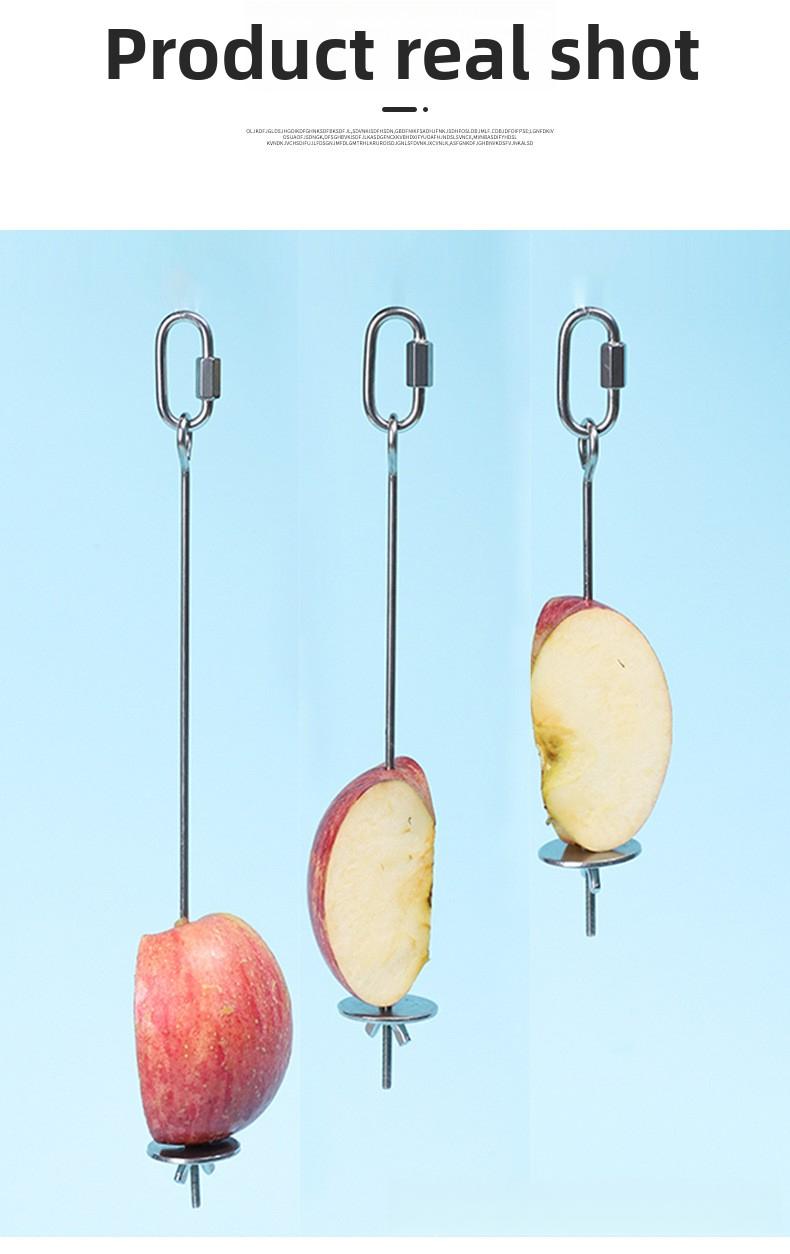 Parrot stainless steel fruit fork, corn and apple fork, pet bird supplies, hangable toy, bird feeder accessories