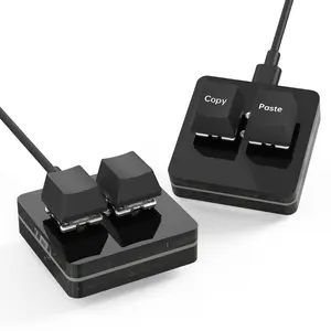 Mini  Copy Paste Keyboard 2 Keys With LED Light Mechanical Hot Swap USB-C Programmable Macro Keypads