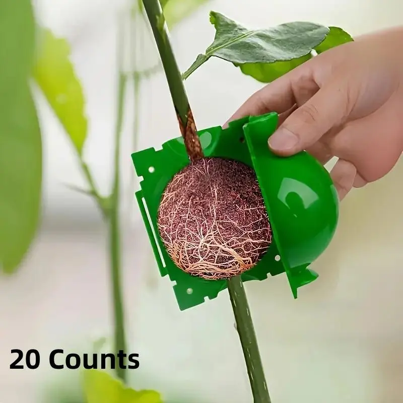 20-Pack Plant Rooting Device, Garden Gardening, High Pressure Propagation Box, Plastic Rooting Equipment, Cutting Rooting and Grafting Tool