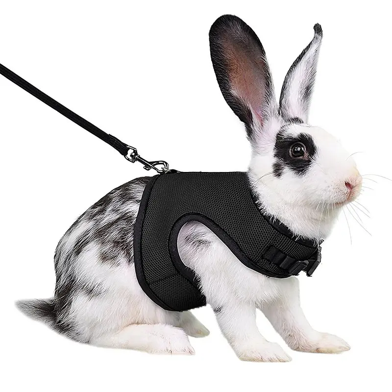 Multi-Size Escape Proof Soft Fabric Bunny Harness and Elastic Leash Set, Adjustable Stretch Vest-Style for Rabbits/Kittens & Other Small Animals (Small Animal Collars, Harnesses & Leads Supplies)