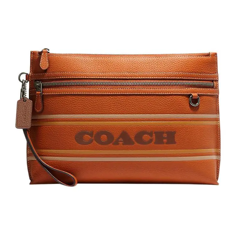 Coach Carry Pouch 29 Handbag for Women – Embossed Logo, Striped Pebbled Leather, Brown