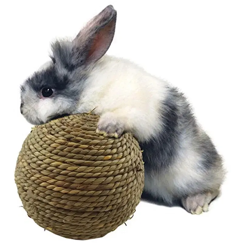 Braided Grass Chew Ball for Small Animals - 6/10cm Interactive Rabbit Supplies Toy for Guinea Pigs, Hamsters with Rolling Fun
