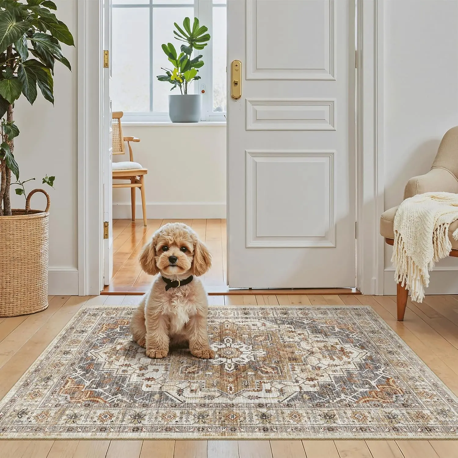 Washable Area Rug 2x3, Small Entryway Rug Non-Slip Vintage Door Mat Indoor Entrance, Low Pile Carpet for Inside Front Door Bedroom Laundry (2'x3', Turmeric/Grey)