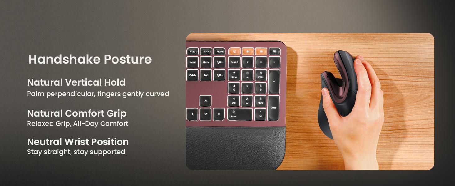 Ergonomic Mouse, EM11 NL Bluetooth Rechargeable Wireless Vertical Mouse, 3 Multi-Device Connectivity for Computer/PC/Laptop, 2.4GHz USB-A Optical Mice for Windows, Mac OS, Wine Red