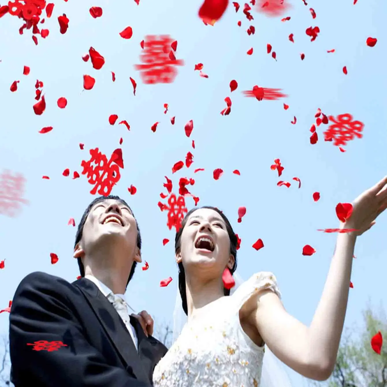 1000pcs Artificial Rose Petals, Multicolor Fake Petals, Wedding Decoration, Romantic Silk Rose Petals, Valentine's Day Party Decor