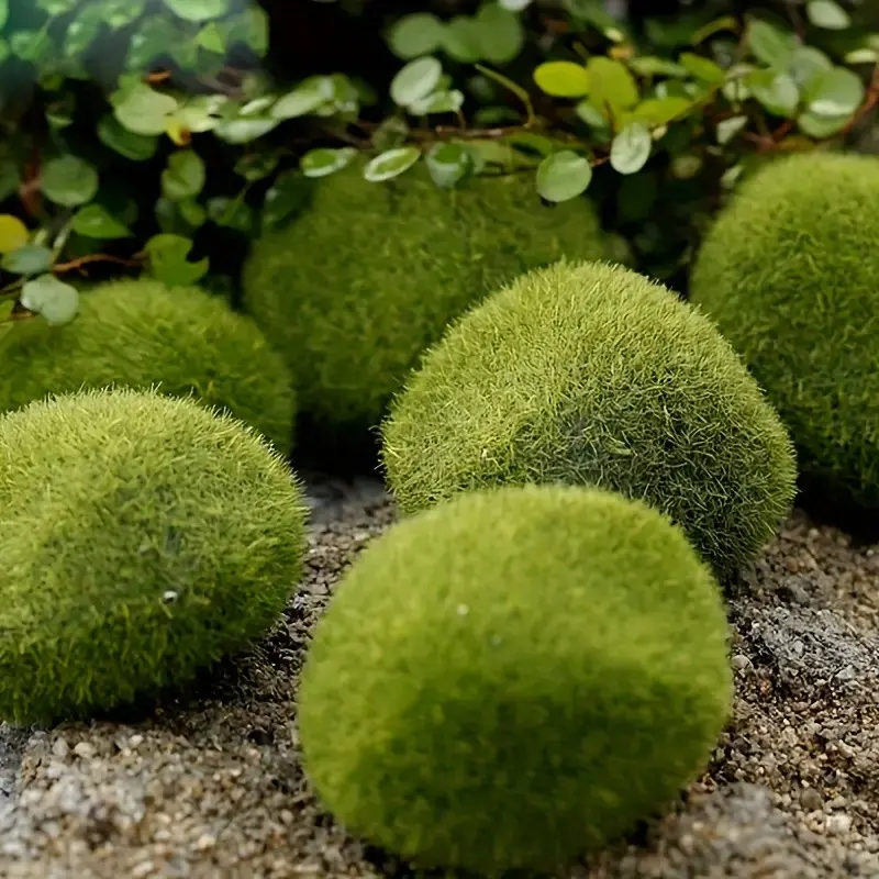 9pcs Simulated Moss Grass Micro Landscape Statues, Miniature Decorations for DIY Fairy Gardens, Aquariums, Fish Tanks, Outdoor Use